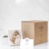 Willow Tree True, Truly a Friend Keepsake Box for Jewelry and Treasures, Hand-Painted with Girl and Puppy Dog