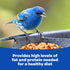 11 Kaytee Shelled Peanuts for Cardinals, Blue Jays, Woodpeckers and Other Outside Wild Birds, Pounds