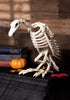 Crazy Bonez Skeleton Vulture