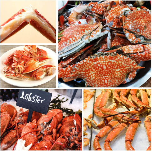 Set, 16 Pack Crab Crackers and Tools, Lobster Crackers, Seafood Crab Leg Cracker Tools, Nut Cracker