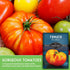 Hillbilly (1 Pack) Tomato Seeds for Planting - Heirloom Yellow-Red Bi-Color Beefsteak Variety, Sweet Low-Acid Flavor