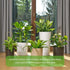 CANIPHA 4 Pcs Small Metal Trellis for Potted Plants,Gold Trellis for Climbing Plants Indoor,Small Trellis for Potted