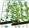 Extra Large Cucumber Trellis for Raised Bed, U-Shape Garden Trellis for Climbing