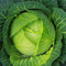 Axel's Garden Seeds Cabbage Seeds for Planting Non-GMO Heirloom Vegetable Seeds Full Instruction Packets to