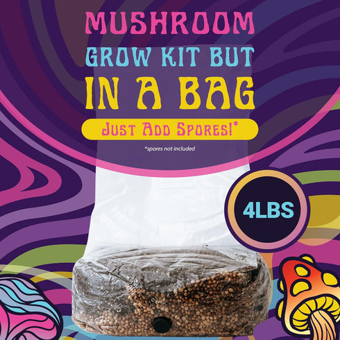 4 LB 32oz (4 LB SPORE SORCERY All-in-One Grow Bag: Up to of Mushrooms! Nutrient-Enhanced, Injection Port, Just Add Your