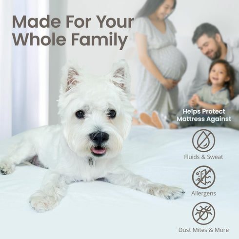 18" SafeRest Waterproof Mattress Protector Queen Size Absorbent Breathable Soft Fitted Bed Cover with Deep Stretchable