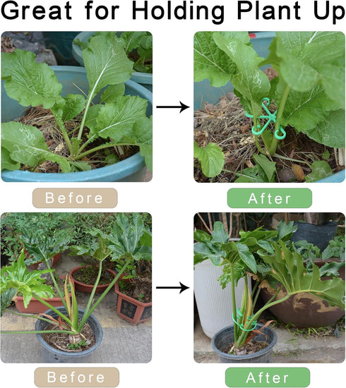 6PCS Plant Stem Supports for Indoor Plants, Reusable Monstera Plant Support, Plant Propagation Buddy, Sturdy Houseplant