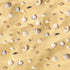 Ira Pollitt Tiny Natural Mixed Ocean Sea Shells, 500pcs, Tiny Miniature Beach Critter Seashells for Crafts, Home