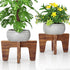 Plant Stands Indoor Outdoor, Plant Risers for Inside Pots Sturdy Short Plants