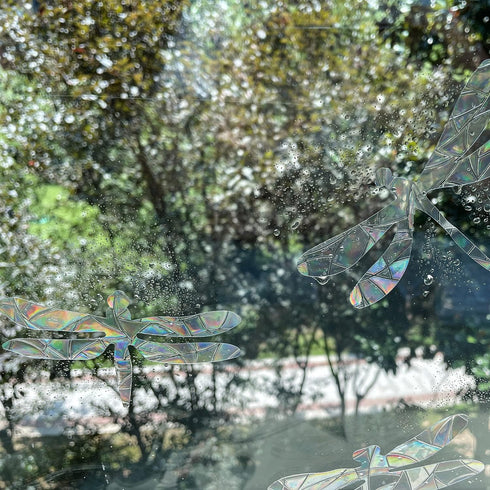 30 Pieces Dragonfly Anti-Collision Window Clings, Glass Reminder Prism Decals to Avoid Bird Strikes