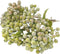 M2cbridge Pack of 6 Green Artificial Berry Stems Christmas Picks Wreath Ornament(Frost Green)