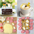 16 Pcs Farm Animal Cookie Cutters with Plunger Stamps Set, Fun 3D Animal Shape Cookie Mold for Baking Birthday
