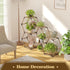 7 Tikea Plant Stand Indoor Outdoor Hexagonal Plant Stand for Multiple Plants Indoor Large Wooden Plant Shelf Tiered