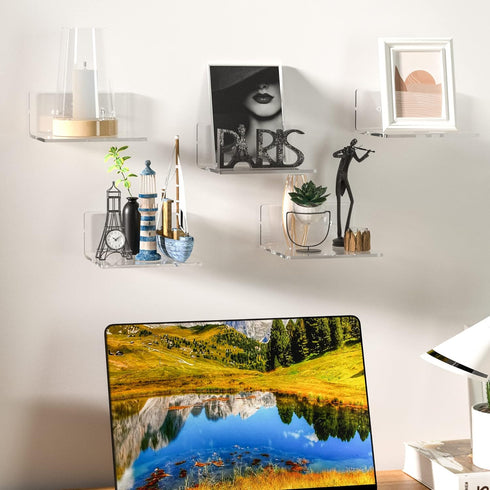 6 Inches 2 Pack, Plants(6 inch, Sezanrpt Acrylic Small Wall Shelves Floating Shelf for Wall Mounting, Acrylic Display
