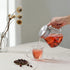 CNGLASS One-Touch Glass Tea Maker, 20oz (600ml) Glass Teapot with Stainless Steel Filter Lid