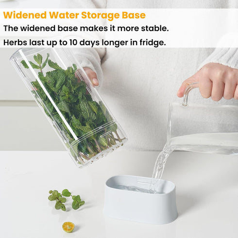 Vacane Herb Keeper for Refrigerator, Fresh Herb Saver Containers for Cilantro and Asparagus, Dishwasher Safe