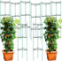 Sunnyray 10 Pcs 51 Inch Tomato Cage up to Plant Cage Deformable