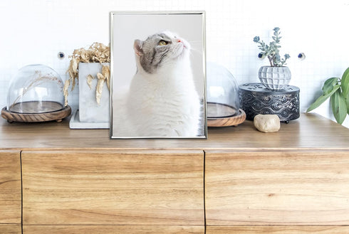 DECANIT 3.5x5 Metal Picture Frame, Thin Profile Photo Frame for Wall or Tabletop, Silver