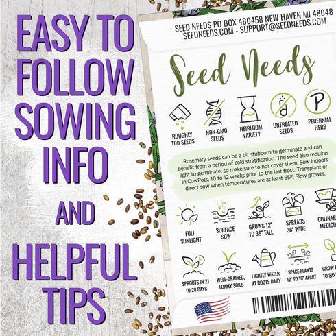 (1 Pack) Seed Needs Rosemary Seeds for Planting - Non-GMO Heirloom & Untreated Perennial Herbs to Plant a Medicinal