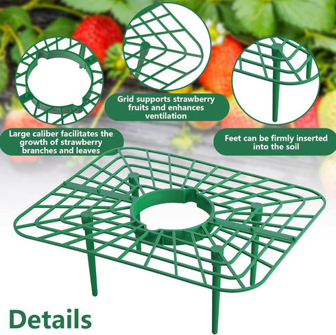 Iceyyyy 12 Packs 12PCS) Square Strawberry Supports-Strawberry Growing Racks- Plant Support Strawberry Stand Holder
