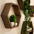 Set 4 Large Hexagon Floating Shelves of Honeycomb Shelf, Crystal Display Shelf, Wood Hexagon Wall Shelves, Farmhouse