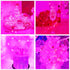 Ranlraka 20 Wine Bottle Lights with Cork Mini Fairy String Lights Battery Operated LED Pink Fairy Lights Party