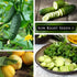 Pack Packets Sow Right Seeds - Cucumber Seed Collection for Planting - Pale Armenian, Pickling, Lemon, Beit Alpha