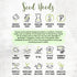 (1 Pack) Seed Needs Thyme Seeds for Planting - Non-GMO Heirloom & Untreated Perennial Herb Seed to Plant a Culinary