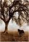 3D Rose Western Sepia Toned Horse on a Ranch with Oak Tree Towel, 15" x 22", Multicolor