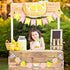 Pink Yellow Lemonade Banner for Stand Decorations, Lemon Sign Garland Summer Party Decor Supplies