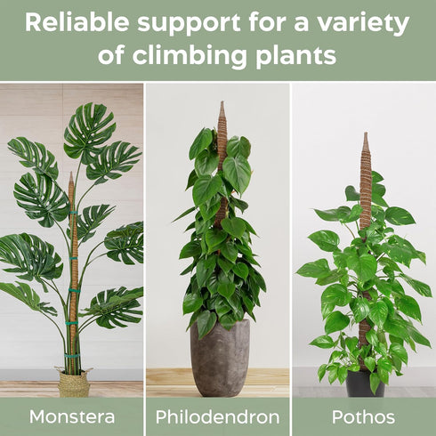 2 Pack 63'' Bendable Moss Pole Monstera Plant Support for Large Climbing Indoor Plants - Stakes for Potted Climbers