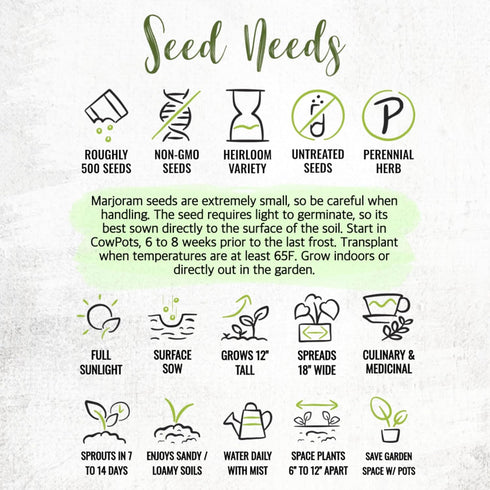 (1 Pack) Seed Needs Sweet Marjoram Seeds for Planting - Heirloom, Non-GMO & Untreated - Perennial Culinary & Medicinal