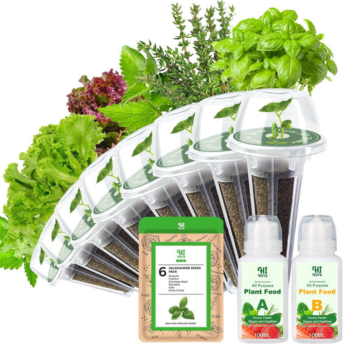Gourmet Herb & Salad Seed Pod Kit, 8 Pod (Include Seed Basil/Mint/Thyme/Romaine/Butter