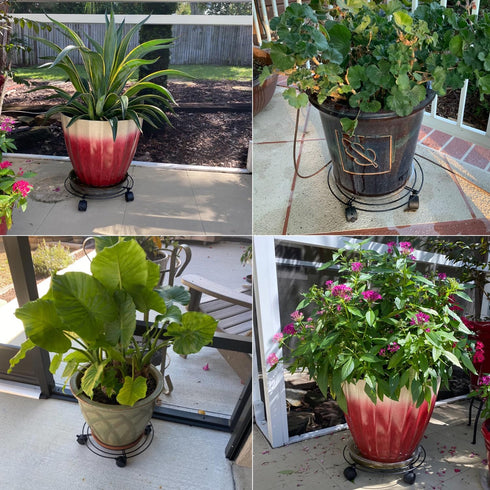 5 Pack 10.6 Inch Metal Plant Caddy with wheels, Heavy Duty Plant Dolly for Indoor and Outdoor Large Potted Plants