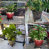 5 Pack 10.6 Inch Metal Plant Caddy with wheels, Heavy Duty Plant Dolly for Indoor and Outdoor Large Potted Plants
