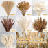 CKBT 610 PCS Dried Pampas Grass Decor, Dried Flower Bouquets for Wedding, Home, Centerpiece Table, Modern Home, Western