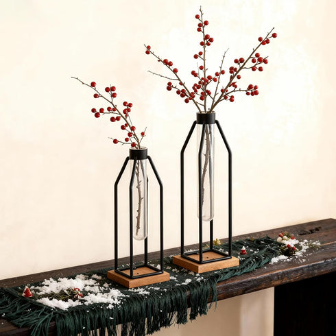 Set 2, 11&12.5 Inch Houmury Test Tube Vase of Flower Vases with Iron Stand & Wood Base, for Home Dcor, Table Decor