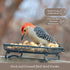Wildlife and Bird Feeder, Deck and Ground Tray Feeder for Birds, Squirrels, Chipmunks, and Rabbits