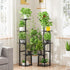 5 Asgolion Tier Plant Stand Indoor, Plant Shelf for Multiple Plants, Flower Pot Holder Shelf, Planter Display Rack