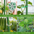 47.2x47.2 X21.6) Cucumber Trellis for Raised Bed,U-Shape Garden Trellis for Climbing Plants Outdoor, Metal Arch