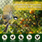 13 40 Bird Netting for Garden, x FT Bird Netting for Chicken Coop, Heavy Duty Garden Poultry Net Mesh with Ties