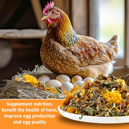 10oz Packed MAQIHAN Chicken Nesting Herbs - Dried Herb Layer Feed Coop and Run Insulation Roosting Bars for Box Pads