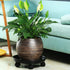 4 Packs 11.8" Plant Caddy with Wheels Plastic Rolling Plant Stands Heavy-duty Plant Dolly with Casters Indoor Outdoor