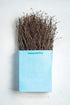 100 Pcs Birch Twigs for Vase Decoration - Set of 2 Bundles of Branches, 100% Natural Sticks, 17 Inches