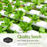5-Variety Lettuce Seeds Collection Heirloom Romaine (Parris Island), Buttercrunch, Iceberg, Oakleaf, Lolla Rosa