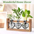 (3 Lifecapido Heart Shaped Propagation Stations, Plant Terrarium with Wooden Stand, Plant Propagation Station