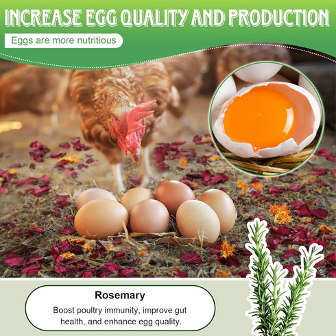 Dunkive 21Oz (1.3 6 Packaging Chicken Nesting Herbs Pounds), Natural Dried Nesting Herbs for Chicken Coop, Aromatic Hen