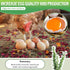 Dunkive 21Oz (1.3 6 Packaging Chicken Nesting Herbs Pounds), Natural Dried Nesting Herbs for Chicken Coop, Aromatic Hen