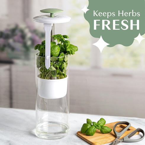 Goodful Herb Keeper Preserver, Designed for Optimum Breathable Airflow for Maximum Freshness, Water Line Ensures the
