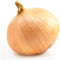 Sunutri Seeds Onion Seeds, 200+ Yellow Sweet Spanish, Heirloom, Non GMO Seeds, Allium cepa